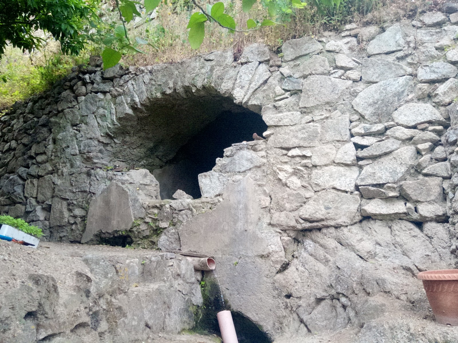 IMG_20210602_165236_740